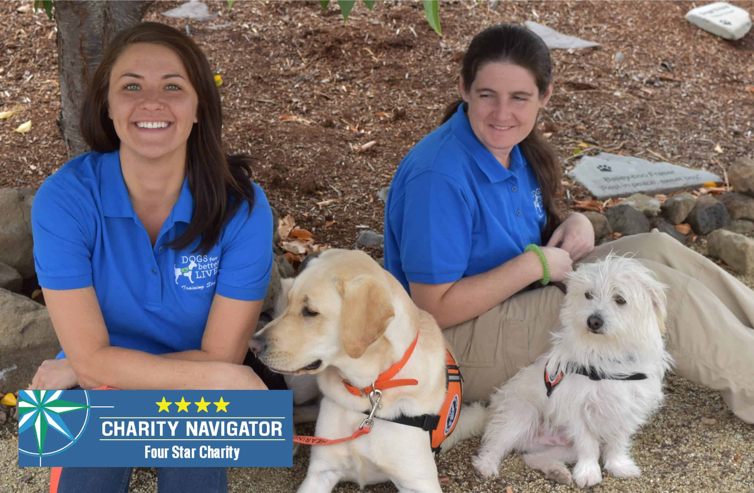 top-dog-again-dbl-receives-charity-navigator-s-4-star-rating-for