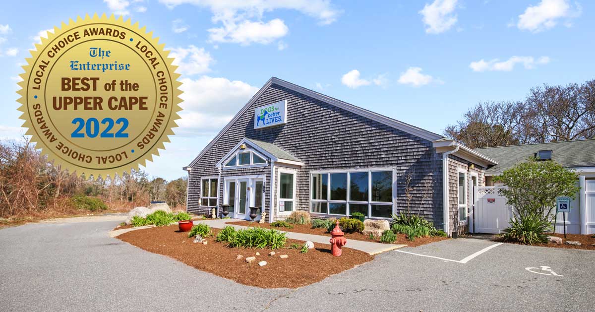 Dogs for Better Lives Northeast Campus Receives Two Best of the Upper