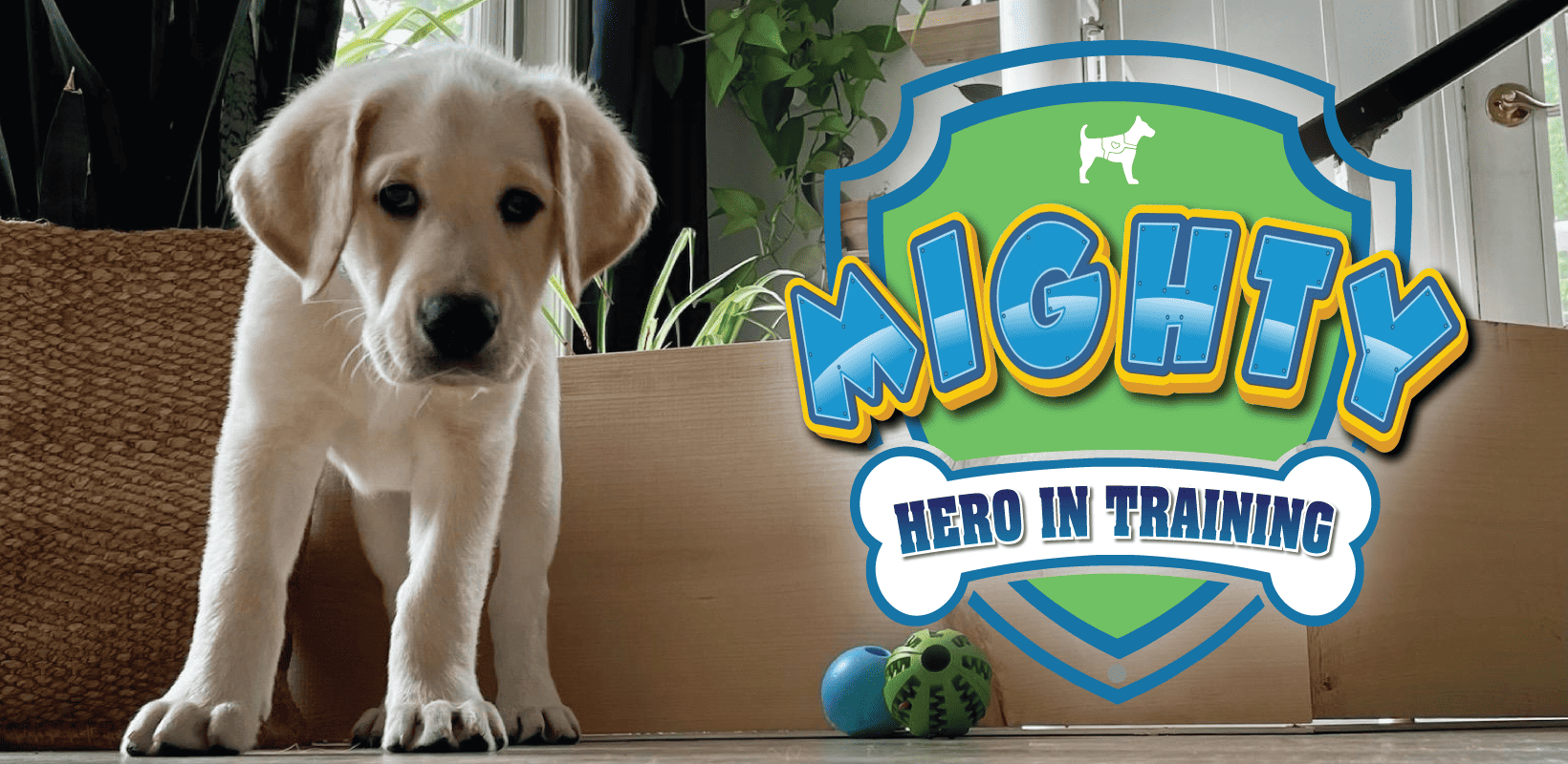 Meet Mighty: Hero in Training