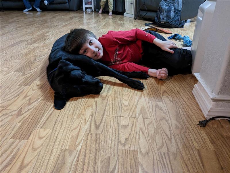 Enhancements to Our Autism Assistance Dog Program