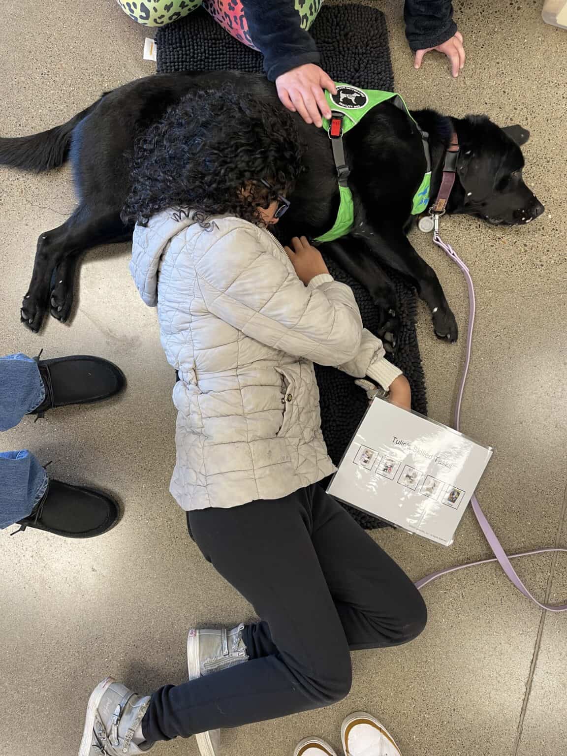 Meet Tulip: The Facility Dog Bridging Connections and Inspiring Growth ...