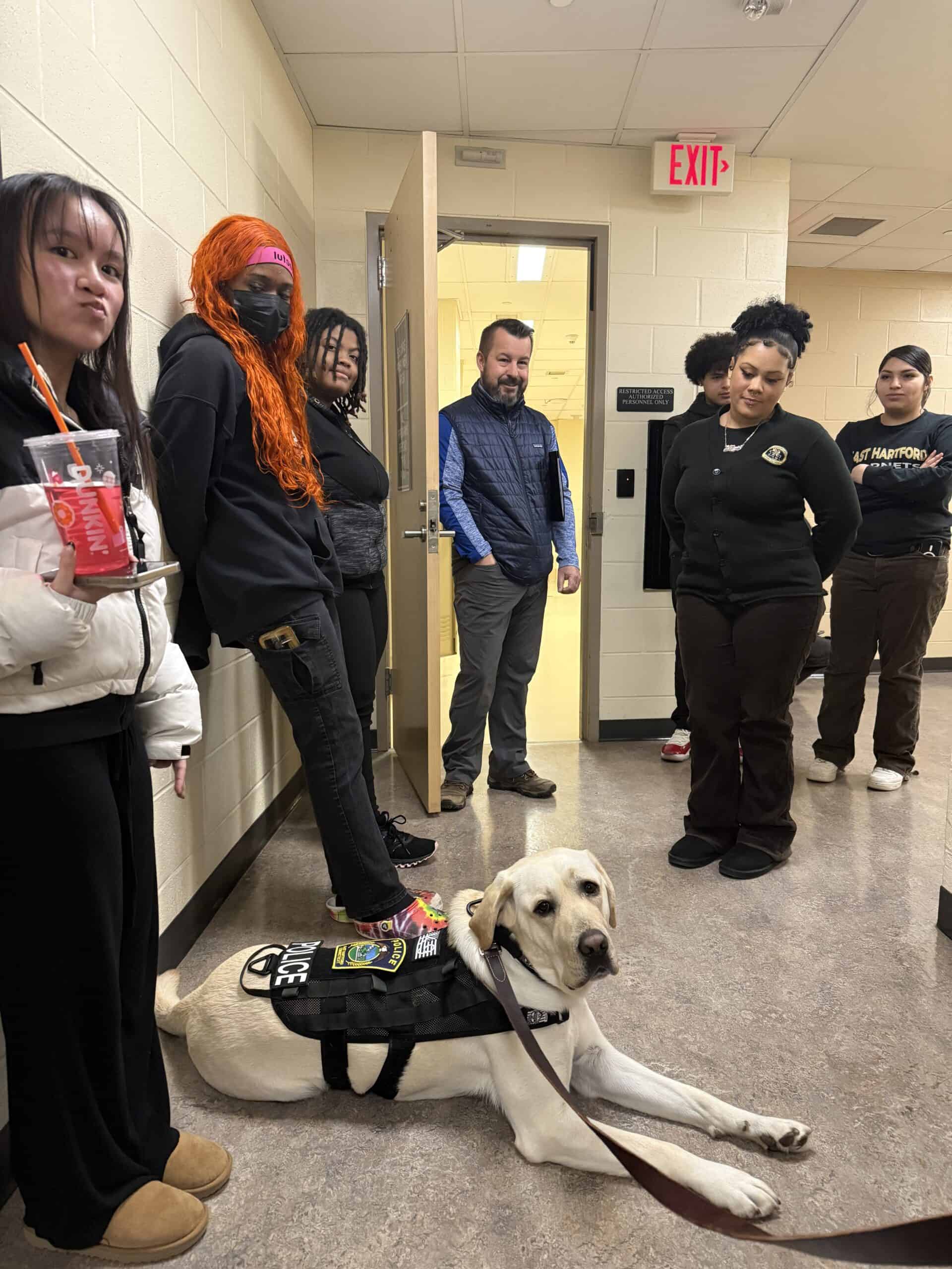 Facility Dog Beacon Brings Comfort and Connection to East Hartford