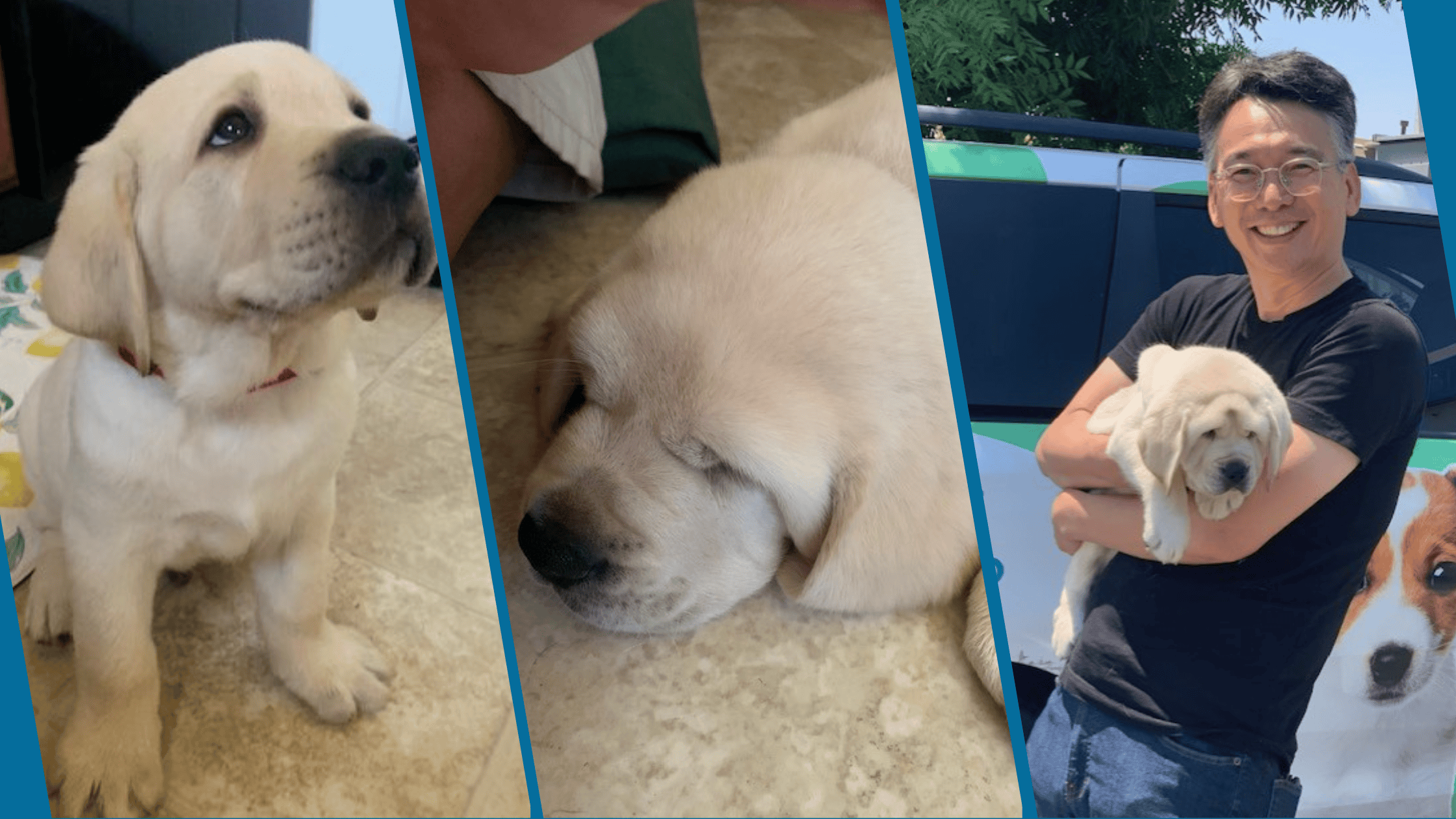 Meet Hero: A Future Service Dog with a Whole Community Behind Him