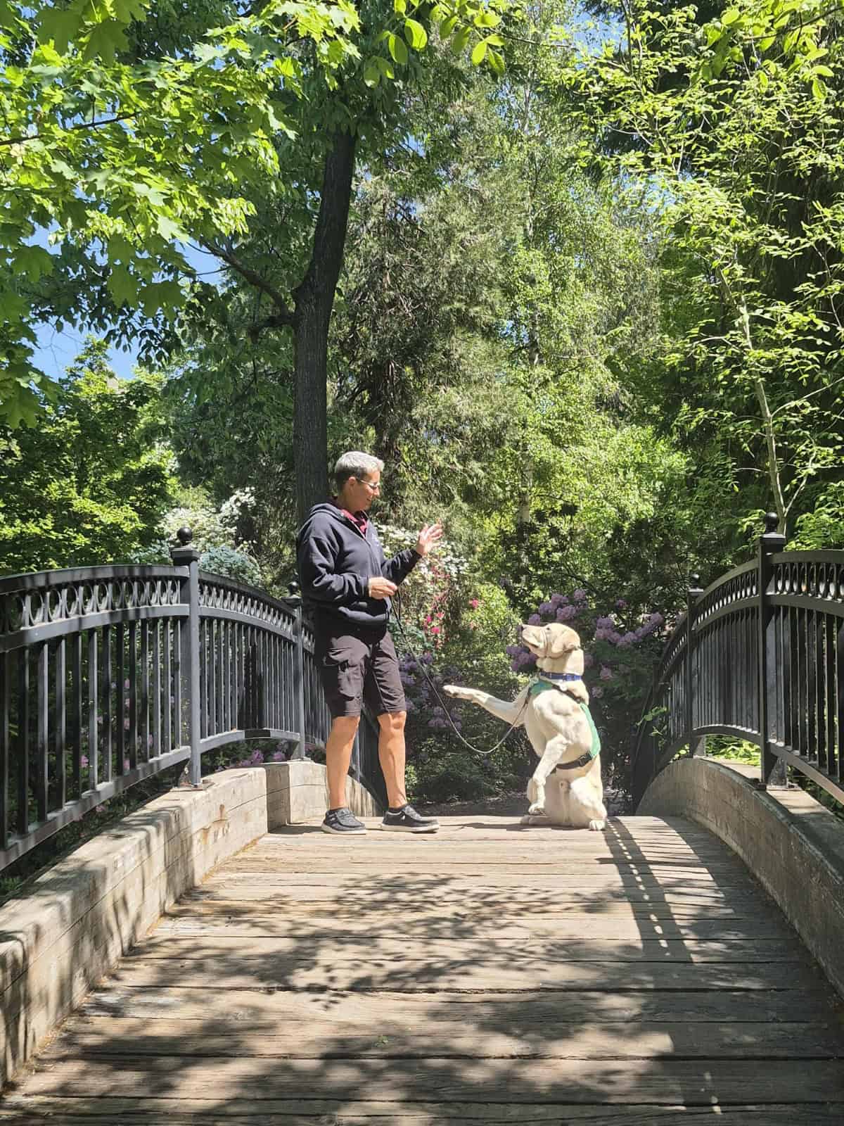 Celebrate the Day of Pawsitivity on National Dog Day 2025