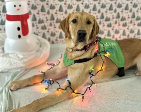 Record-Setting Giving Tuesday Results and Holiday Matching Gift Campaign Through December 31