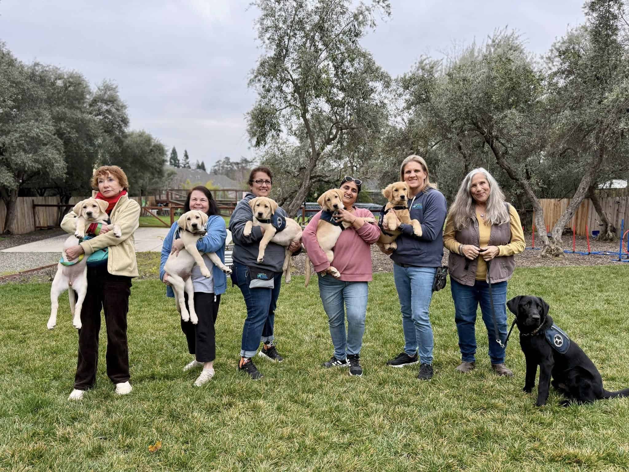Growing Together: Sacramento’s Puppy Raisers Find Community and Purpose