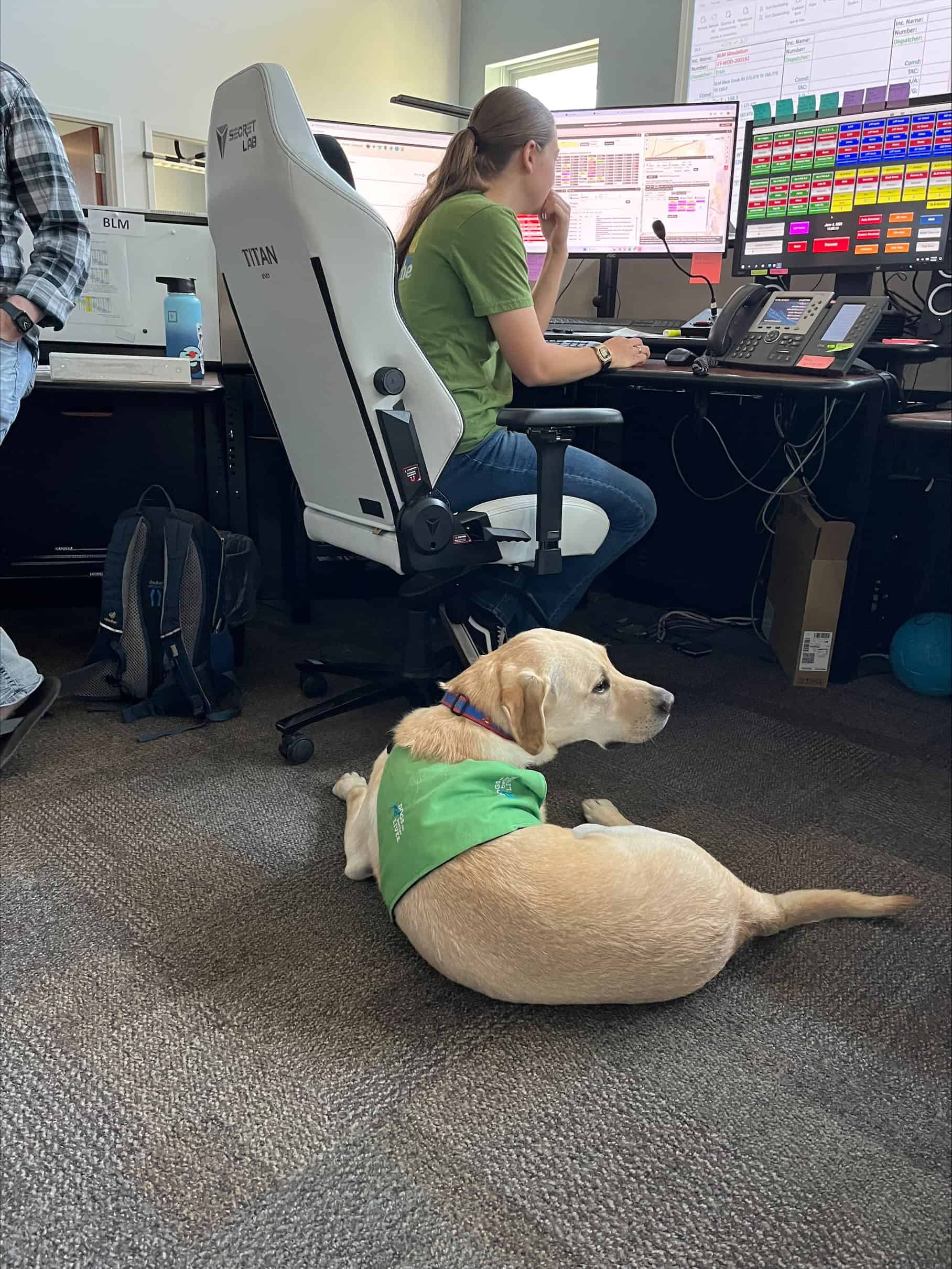 Facility Dog Williams Brings Calm, Connection, and Hope to Fire Crews
