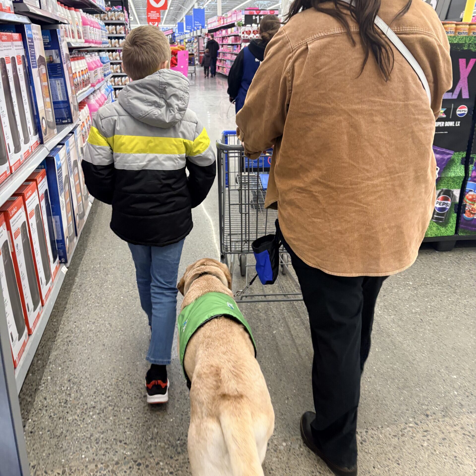 Autism Assistance Dog with client