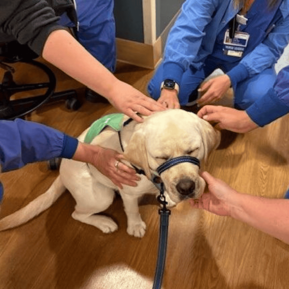 Facility Dog with client