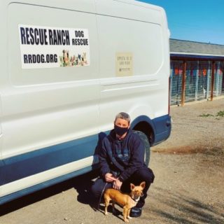 Meet Libby the newest member of our Shelter Dog Success Program. Libby is a Chihuahua/mix, approximately 2 yrs. Old, she came from Rescue Ranch in Yreka, CA. They were very excited to see us and to know that Libby could one day make a difference in someone’s life.
Congratulations to Kayla on our first dog adoption together and learning the process of evaluation, seeing the difference in why we make the decisions we make and how emotional this job can be at times. It’s hard to pick and choose one over the other when we are such animal lovers, but there is only a few that can do the job we are asking them to do. 

#GREATJOBTEAMDBL #dbl #dogsforbetterlives #shelterdog #assistancedog #assistancedogintraining
