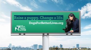 We're promoting DBL and and our need for #puppyrasiers in a BIG way in California, with more PSA advertising on digital billboards.

Thank you ADCO Outdoor Advertising (Richmond/East Bay) and Bulletin Displays (Los Angeles) for supporting our mission with your advertising displays.

If you see our boards in CA, send us a few photos at info@dogsforbetterlives.org. 

Next, our puppy raiser ads will begin to show up in WA's Puget Sound later this spring.  To learn more... https://bit.ly/3hTgoQp